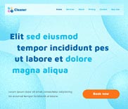 BeCleaner 3